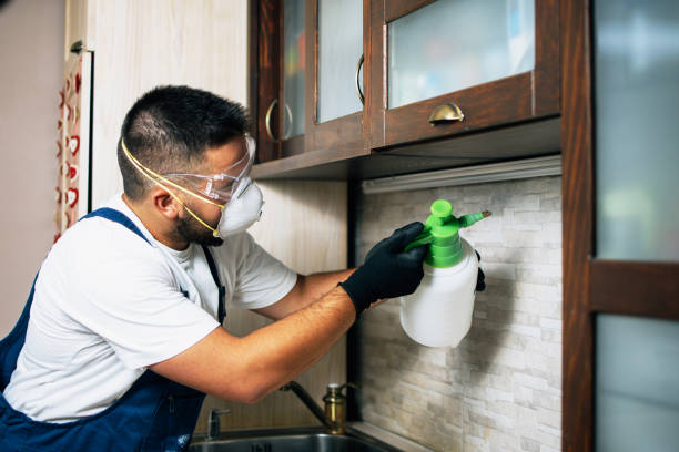 Best Commercial Pest Control Services  in Mccall, ID