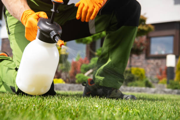 Best Pest Inspection Near Me  in Mccall, ID