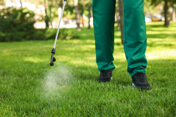 Best Affordable Pest Control Services  in Mccall, ID