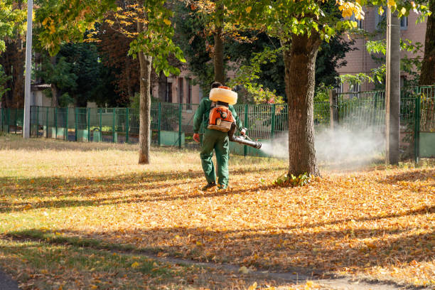 Best Pest Control Treatment  in Mccall, ID