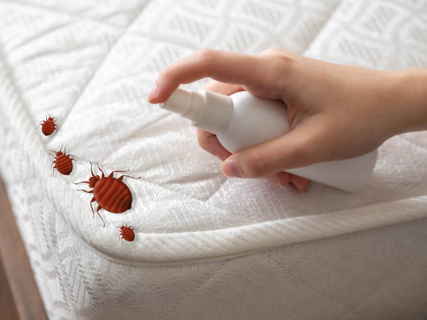 Best Residential Pest Control  in Mccall, ID